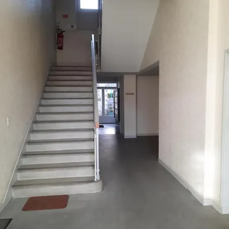 Charmant Studio Centre Ville Apartment *