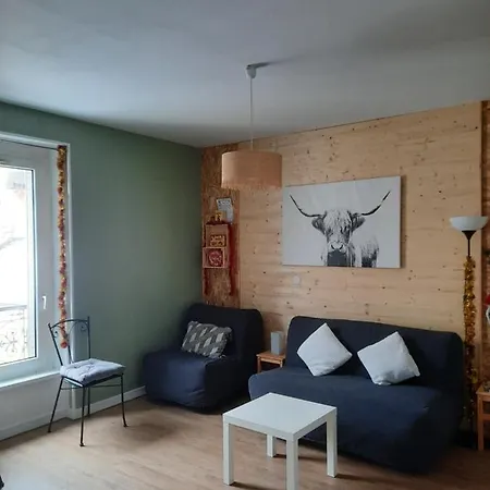 Charmant Studio Centre Ville Apartment *